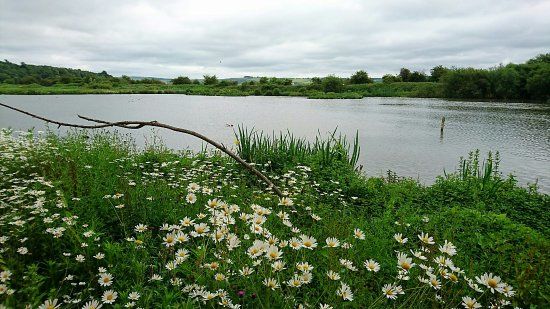 WWT Arundel Wetland Centre